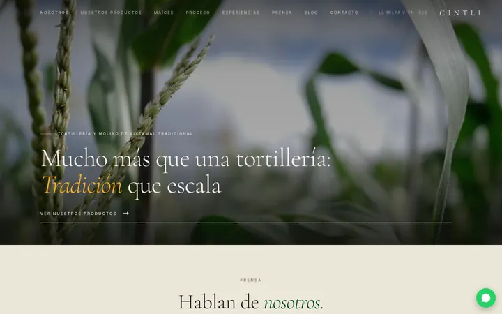 Captura de la web de Cintli